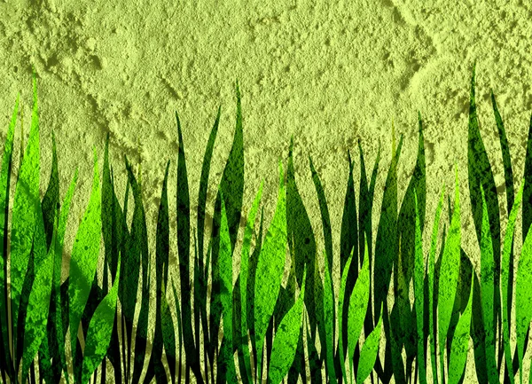 Grass frame Background on wall texture background design — Stock Photo, Image