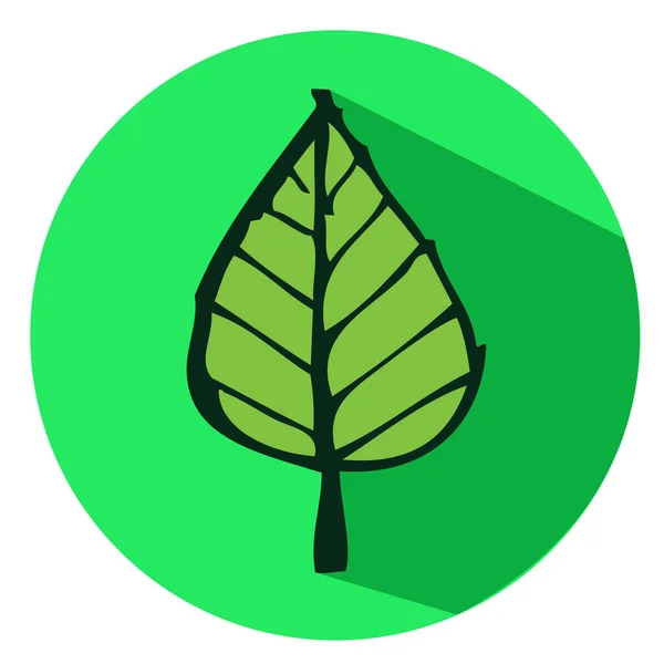 Leaf Icon Sign Symbol Design — ストックベクタ