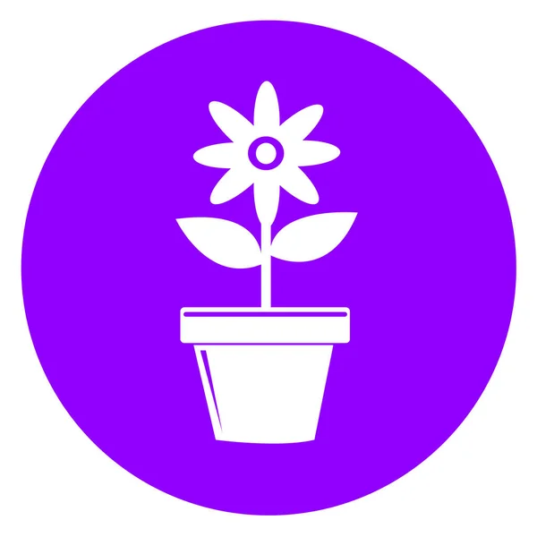 Flor Icono Flora Signo Símbolo Diseño — Archivo Imágenes Vectoriales