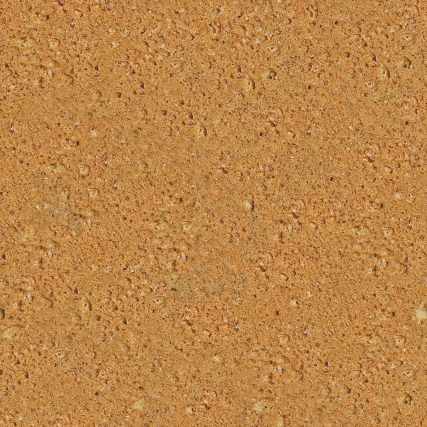 Seamless Detailed Biscuit Texture — Stock Photo, Image