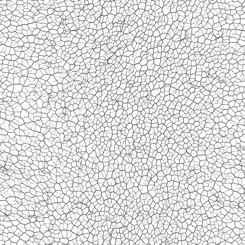 Seamless Tileable Crack Texture Pattern
