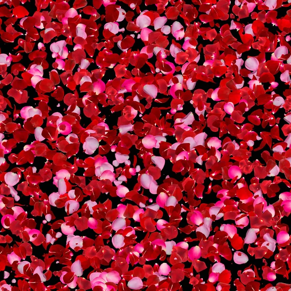 Seamless Rose Petal Texture Pattern Black Background — Zdjęcie stockowe