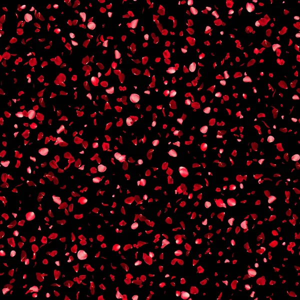 Seamless Rose Petal Texture Pattern Black Background — Stock Photo, Image
