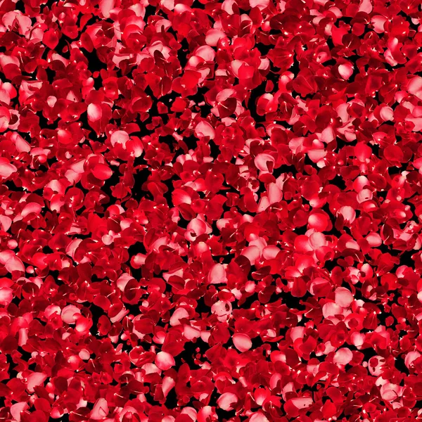 Seamless Rose Petal Texture Pattern Black Background — Φωτογραφία Αρχείου