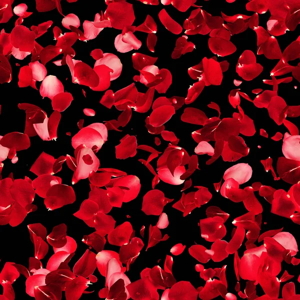 Безшовна Текстура Пелюсток Троянд Візерунок Чорному Тлі — стокове фото