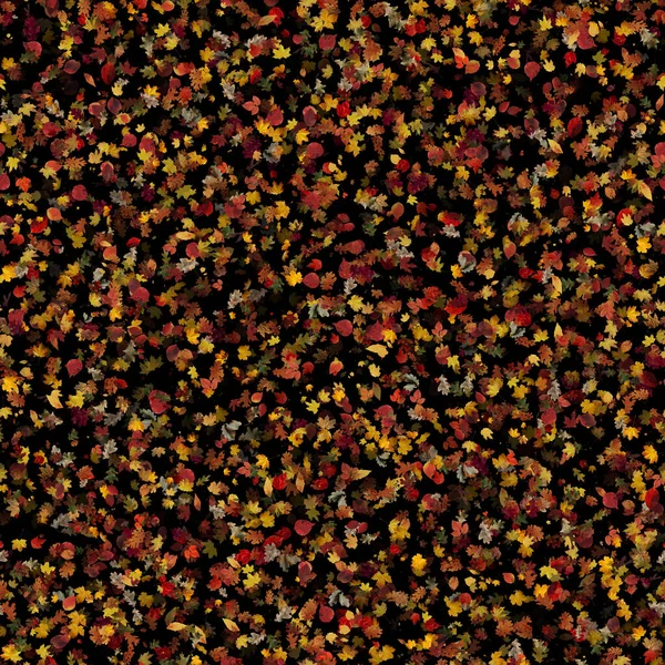 Seamless Autumn Leaves Texture Black Background — Φωτογραφία Αρχείου