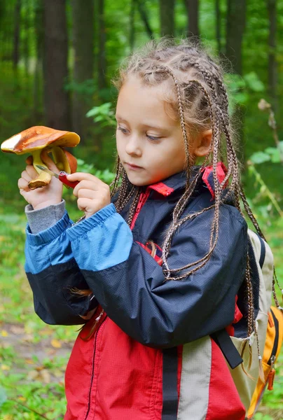 Meisje snijdt paddestoelen — Stockfoto