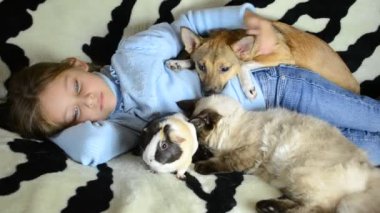 kız için birçok evcil hayvan sarılma