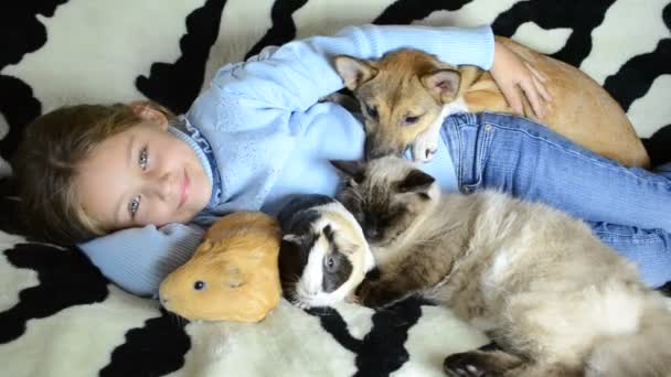 Chica abrazando a muchas mascotas — Vídeo de stock