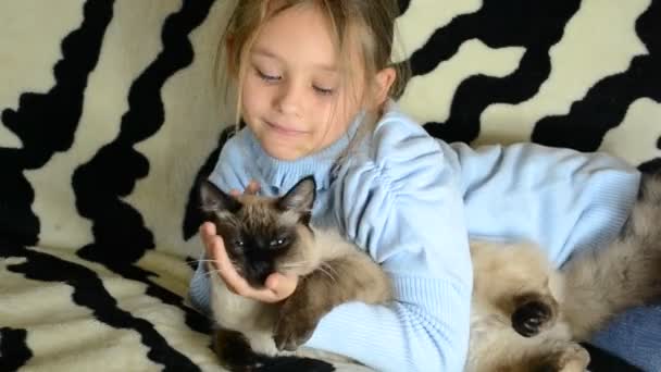 Girl hugging a cat — Stock Video