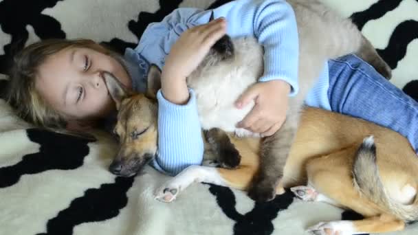 Девушка обнимает много домашних животных — стоковое видео