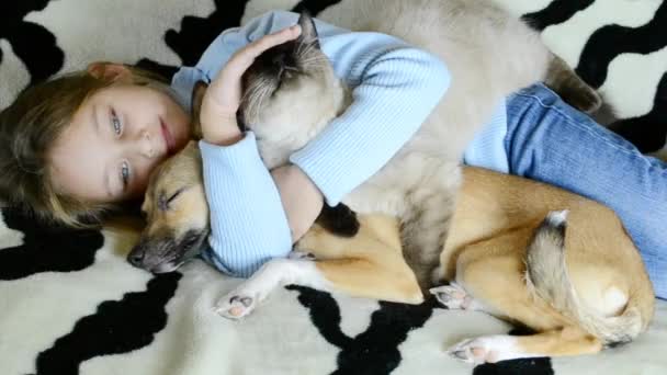 Chica abrazando a muchas mascotas — Vídeo de stock