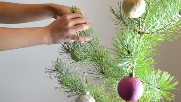 Mujer decoración árbol de Navidad — Vídeos de Stock