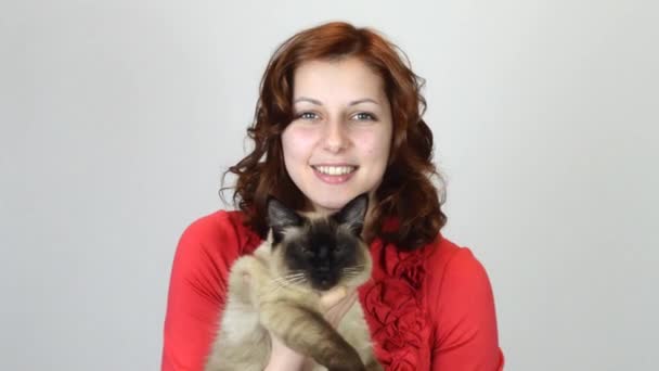 Bella ragazza con un gatto siamese — Video Stock