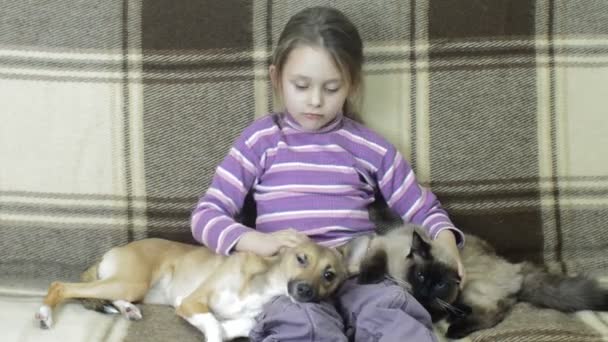 Mooi meisje en siamese kat en rode hond — Stockvideo