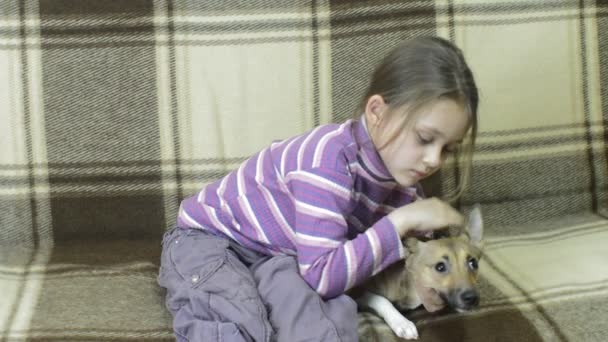 Bonita chica y perro rojo — Vídeos de Stock