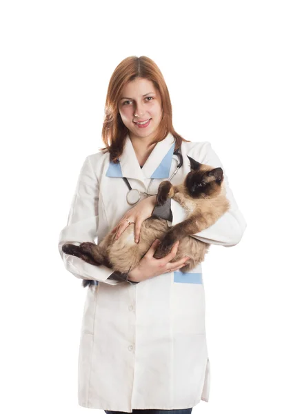 Pretty girl and Siamese cat — Stock Photo, Image