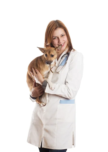 Bonita chica y siamés gato — Foto de Stock