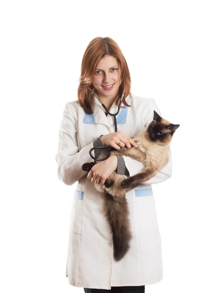 Pretty girl and Siamese cat — Stock Photo, Image