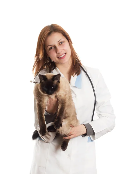 Pretty girl and Siamese cat — Stock Photo, Image