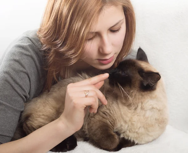 Beautiful girl gently hugs kitten — Stock Photo, Image