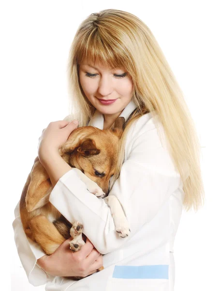 Caring veterinarian — Stock Photo, Image