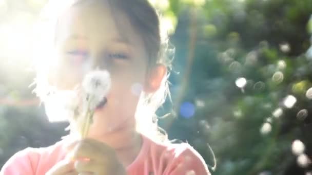 Fille soufflant sur un bouquet de pissenlits — Video