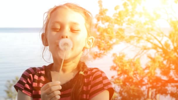 Ragazza che soffia su un dente di leone — Video Stock