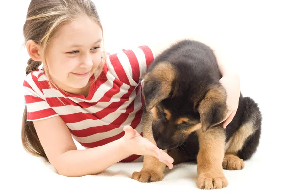 Filhote de cachorro cheira a mão de uma menina — Fotografia de Stock