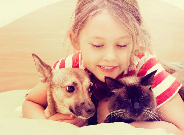 Criança e cão e gato — Fotografia de Stock