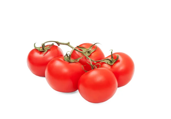 Tomater isolerad på vit bakgrund — Stockfoto