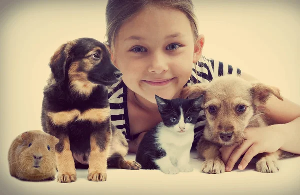 Criança e cachorro e gatinho — Fotografia de Stock