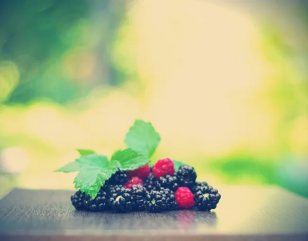 Свіжі ягоди барвистий — стокове фото
