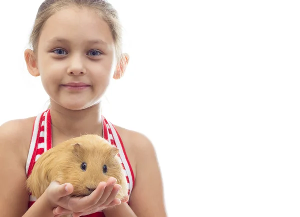 Little girl holding a guinea pig — Stock Photo, Image