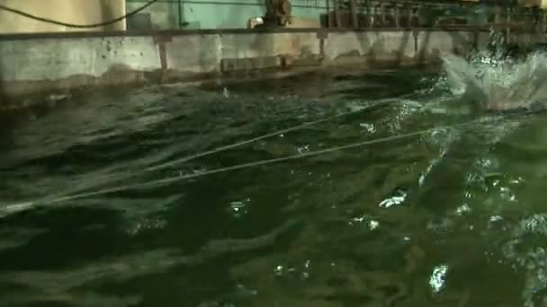 Testen van het model van een schip in het zwembad — Stockvideo