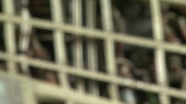 mekanizmaları uçak