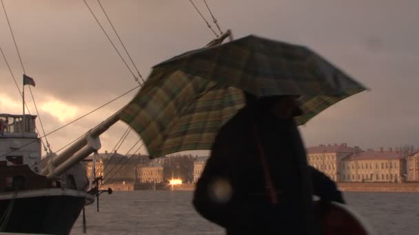 Río Neva en el centro histórico de San Petersburgo — Vídeos de Stock