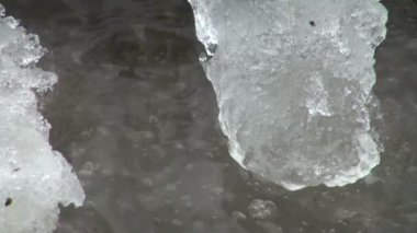 suda yüzen buz parçası