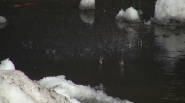 erimiş su damlaları