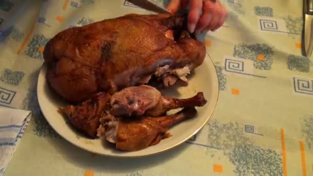 Eine Ente braten — Stockvideo