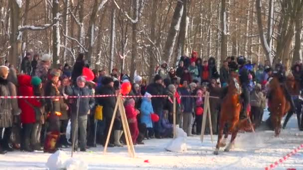 Kozaków na koniach — Wideo stockowe