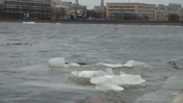 Flotte de glace flotte dans l'eau — Video