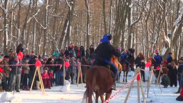 Cossacks on horses — Stock Video