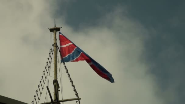 Vlag in de wind — Stockvideo