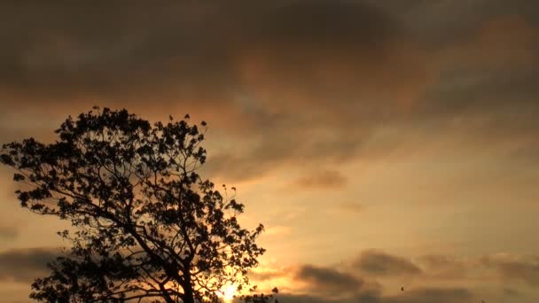 Zachód słońca — Wideo stockowe
