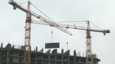 Bir inşaat alanında turna.