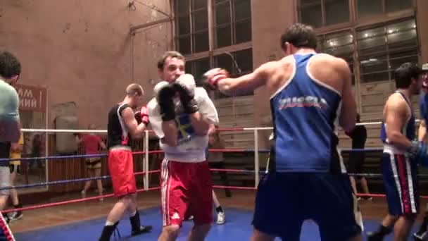 Боксёры в обучении — стоковое видео
