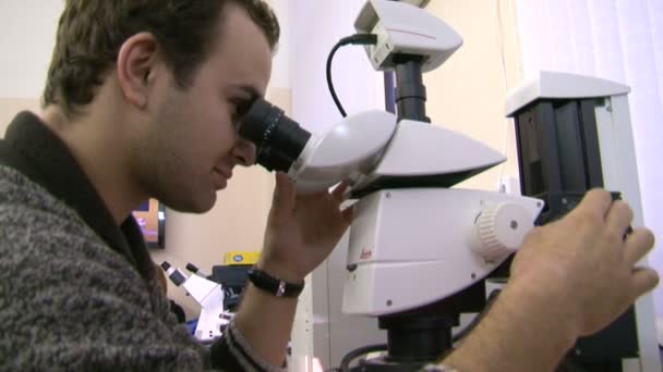 Un científico al microscopio — Vídeos de Stock