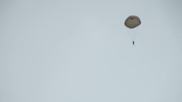 Parachutisten in de lucht — Stockvideo