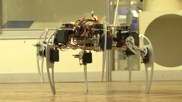 Robot araignée — Video